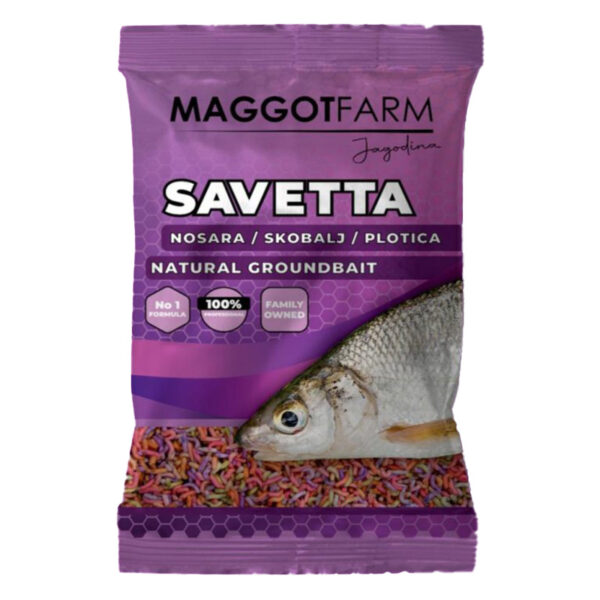 magot-saveta-768x768-1 MAGGOT FARM PROTEIN – SAVETTA